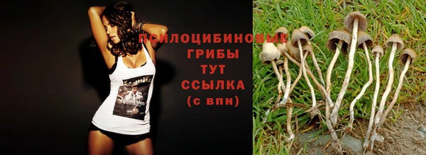 мефедрон мука Новокубанск