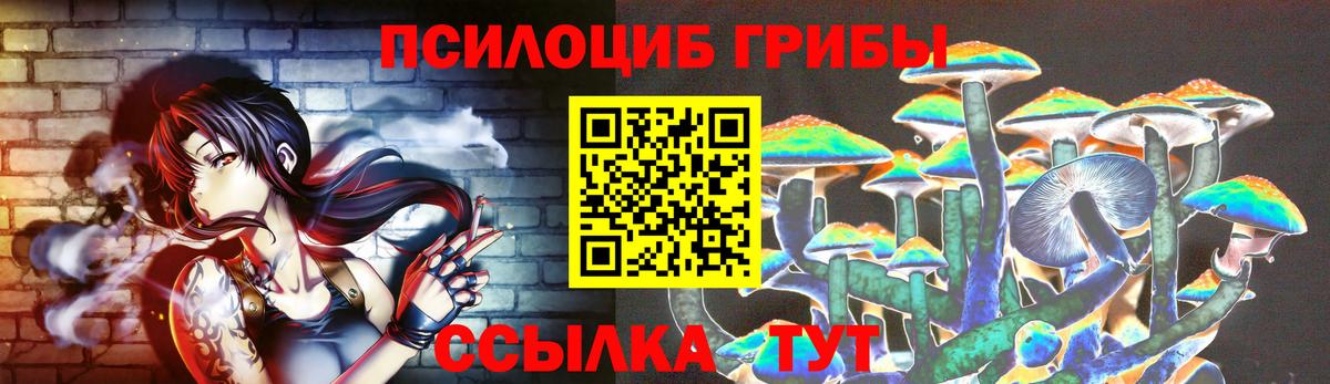 Луга  Галлюциногенные грибы MAGIC MUSHROOMS  Вход с VPN 