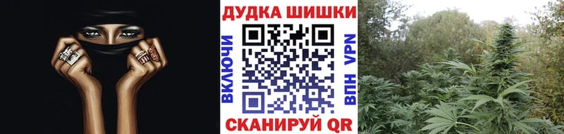 Бошки Шишки VHQ Луга